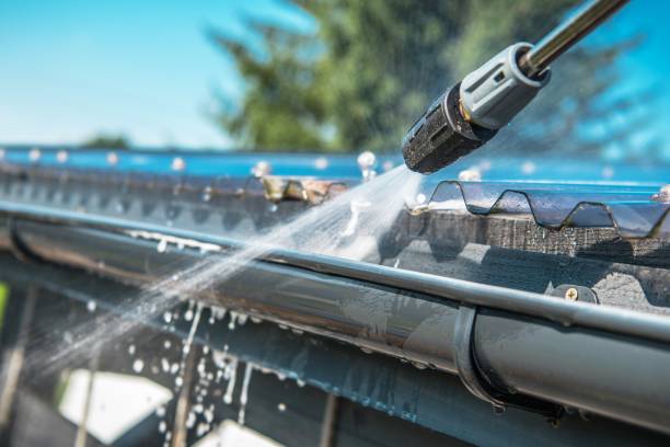 Best Affordable Power Washing  in Pahoa, HI