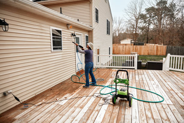 Best Affordable Power Washing  in Pahoa, HI