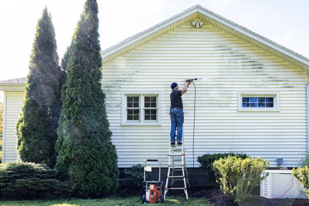 Why Choose Our Certified Pressure Washing Experts for Your Project Needs in Pahoa, HI?