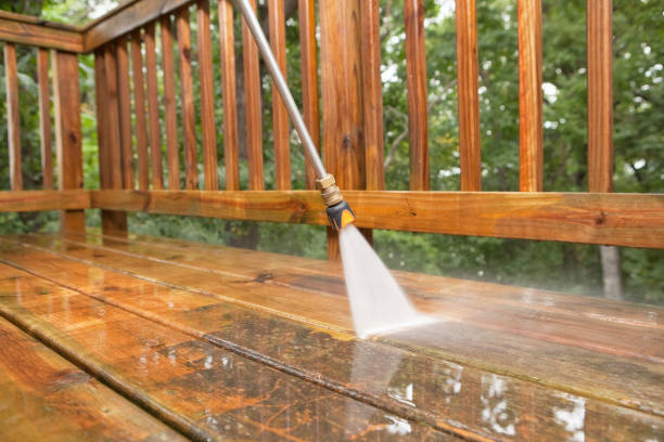 Best Deck Cleaning Services  in Pahoa, HI