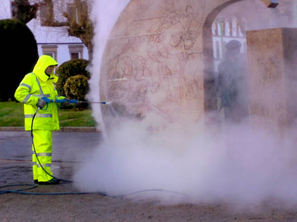 Best Pressure Washing Contractors  in Pahoa, HI