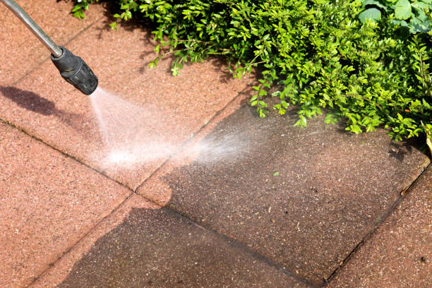 Best Commercial Pressure Washing  in Pahoa, HI